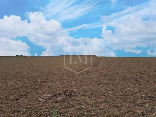 Landwirtschaftliche Fläche zum Kauf 130.000 € 16.994 m² Grundstück Jülich 52428