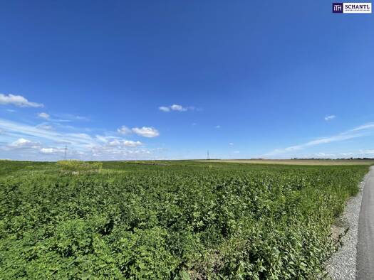 Land-/Forstwirtschaft zum Kauf 439.000 € 41.195 m² Grundstück Hauptstraße Moosbrunn 2440