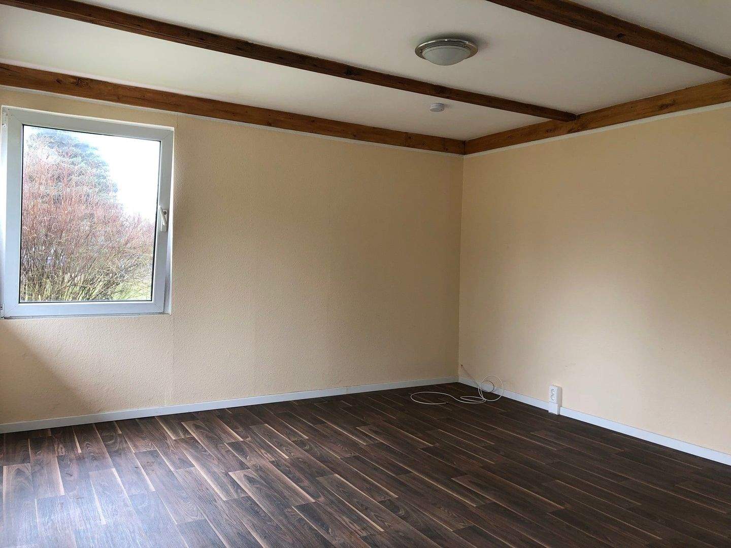 Immobilie in Heidesee - Gemütlicher Tiny-Ferienbungalow nahe Wolziger See - Bild 3