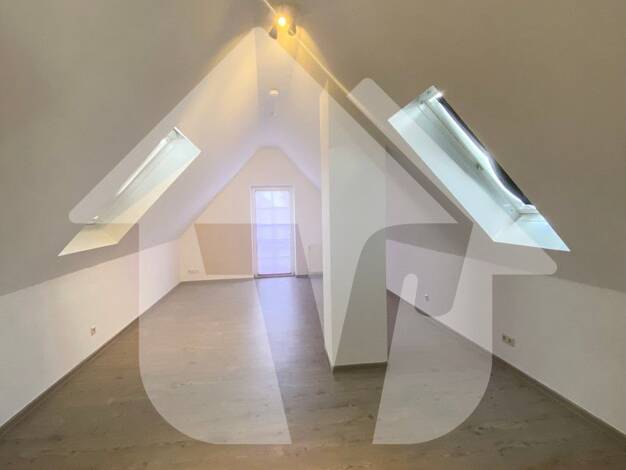 Wohnung zur Miete 425 € 1 Zimmer 54 m² frei ab 01.01.2027 Haselünne Haselünne 49740