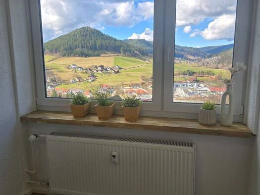 Studio zum Kauf provisionsfrei 89.000 € 1 Zimmer 30 m² 1. Geschoss frei ab sofort Baiersbronn 72270