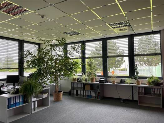 Bürokomplex zur Miete 750 m² Bürofläche Oeslau Rödental 96472