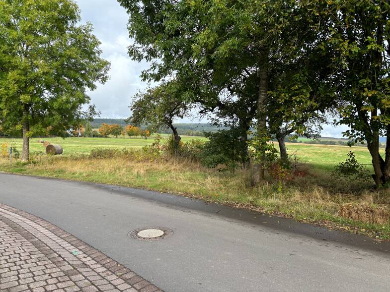 Grundstück zum Kauf 75.000 € 1.000 m² Grundstück Großlittgen 54534