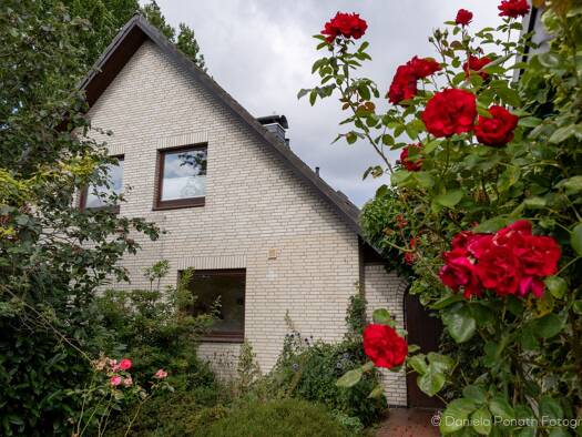 Einfamilienhaus zum Kauf 460.000 € 6 Zimmer 150 m² 738 m² Grundstück Buxtehude Buxtehude 21614