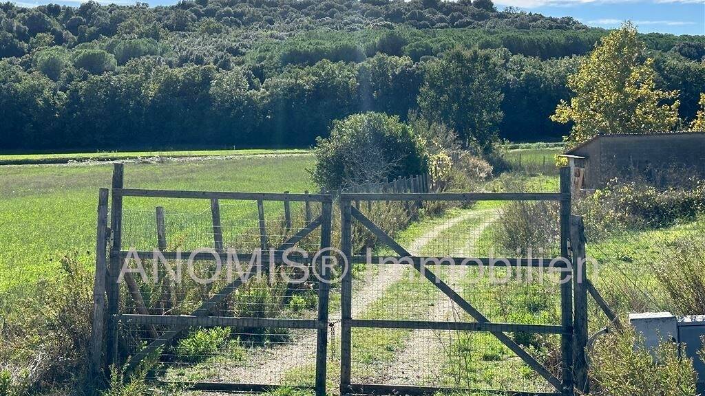 Grundstück zum Kauf 129.000 € 10.000 m² Grundstück Agrarhaus 100 m2 Massa Marittima 58024