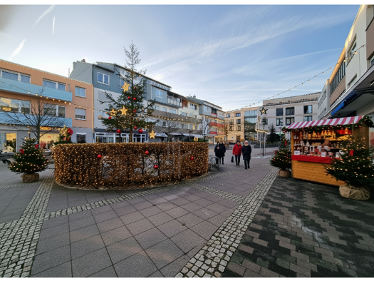 Verkaufsfläche zum Kauf 395.000 € 9 Zimmer 343,5 m² Verkaufsfläche Heusenstamm 63150