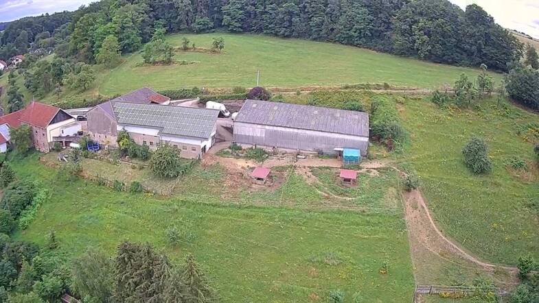 Haus zum Kauf 699.000 € 160 m² 20.232 m² Grundstück petershof 1 Silwingen Merzig 66663