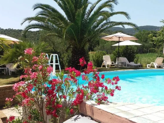 Hotel zum Kauf 960.000 € 20 Betten 350 m² Gastrofläche Gavorrano 58023