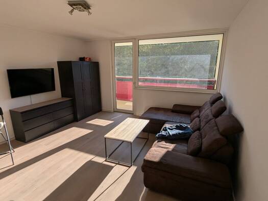 Wohnung zur Miete 550 € 1 Zimmer 35 m² Geschoss 5/20 frei ab sofort Neusalzer Straße 77 Offenbach am Main 63069
