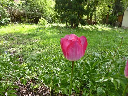 Grundstück zum Kauf 399.000 € 681 m² Grundstück Deutenbach Stein 90547