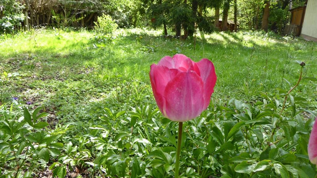 Grundstück zum Kauf 399.000 € 681 m² Grundstück Deutenbach Stein 90547