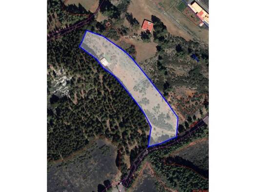 Bauernhaus zum Kauf 269.000 € 2 Zimmer 102 m² 9.133 m² Grundstück Tejeda 35368