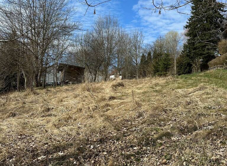 Grundstück zum Kauf 226.500 € 871 m²<br/>Grundstück Großschönach Herdwangen-Schönach 88634