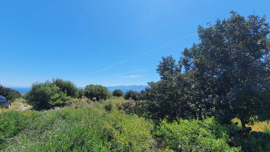 Land-/Forstwirtschaft zum Kauf 300.000 € 7.857 m² Grundstück Kreta