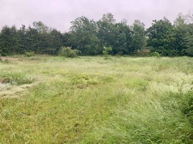 Grundstück zum Kauf provisionsfrei 119.000 € 2.005 m² Grundstück Sägemühlenstr. 4a Unterlüß Südheide 29345
