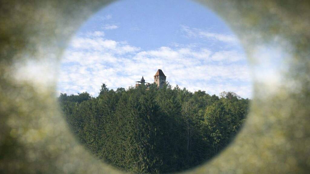 Einfamilienhaus zum Kauf 135.000 € 4 Zimmer 107 m² 752 m² Grundstück Erlenbach b Dahn Erlenbach 76891