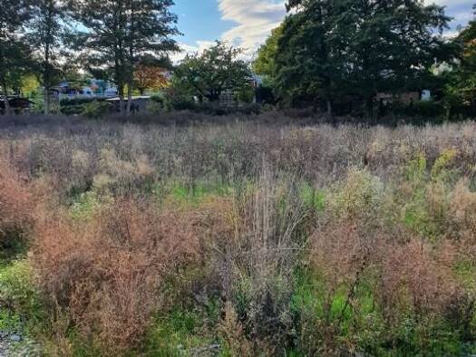 Grundstück zum Kauf 540 m² Grundstück Niederdorfelden 61138