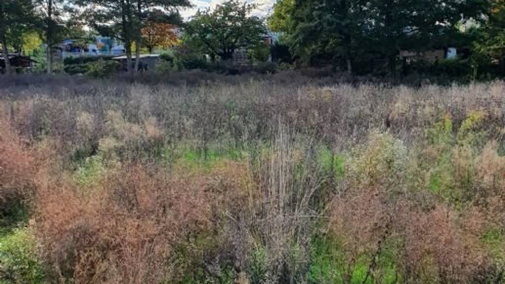 Grundstück zum Kauf 540 m² Grundstück Niederdorfelden 61138