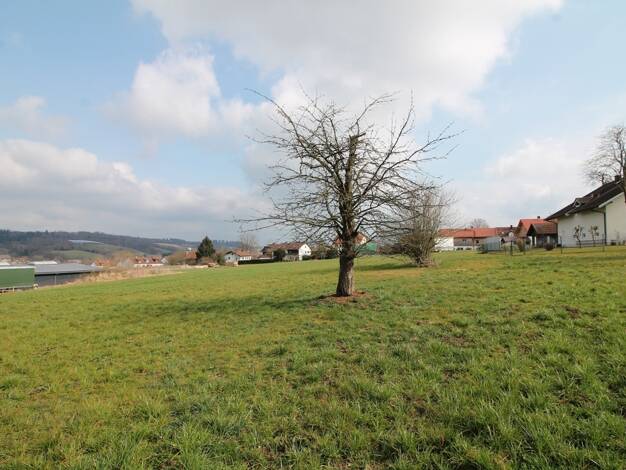 Grundstück zum Kauf 616.000 € 4.597 m² Grundstück Heining Passau 94036