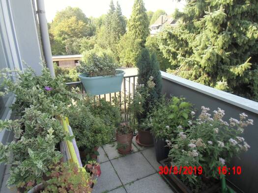 Wohnung zur Miete 900 € 3 Zimmer 89 m² 2. Geschoss frei ab 01.10.2026 Von-Diergardt-Straße Schlebusch Leverkusen 51375