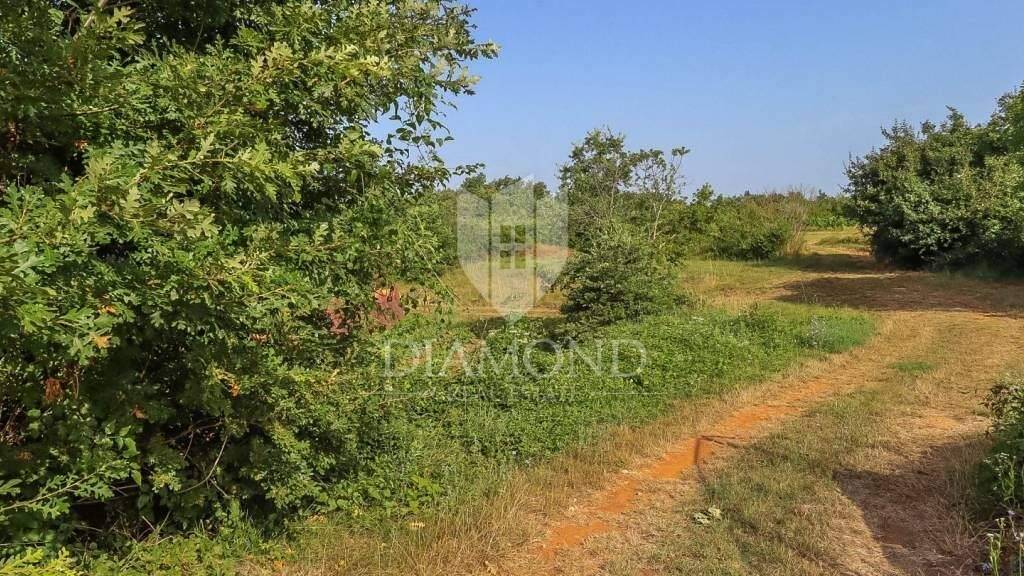 Land-/Forstwirtschaft zum Kauf 366.000 € Svetvincenat Svetvincenat