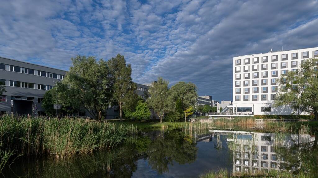 Bürofläche zur Miete 17.600 € 1.600 m² Bürofläche Brunn am Gebirge 2345