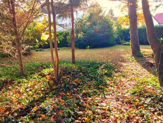 Einfamilienhaus zum Kauf 350.000 € 4 Zimmer 140 m² 800 m² Grundstück frei ab sofort Scheßlitz 96110