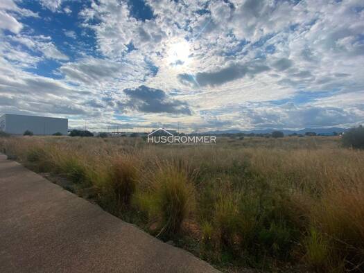 Einfamilienhaus zum Kauf 1.608.000 € 16.080 m² Grundstück Castellón, Onda