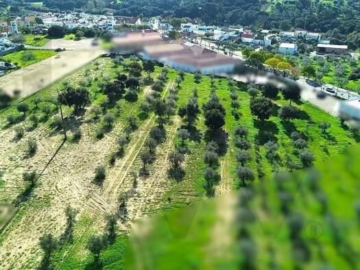 Bauernhof zum Kauf 6.000.000 € 12.000 m² Grundstück MELIDES