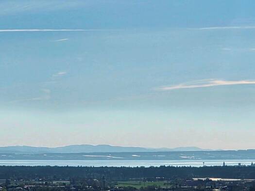 Grundstück zum Kauf 1.350.000 € 1.003 m² Grundstück Baugenehmigung vorhanden Tettnang 88069