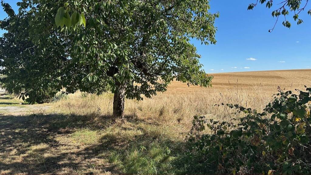 Grundstück zum Kauf 40.300 € 806 m² Grundstück frei ab sofort Lodersleben Querfurt 06268