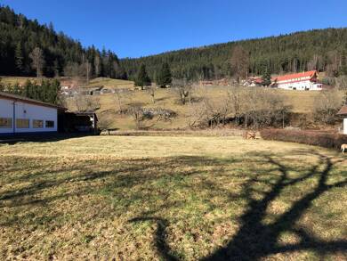 Gewerbepark zum Kauf 585.000 € 1.681 m² Grundstück Nonnenmiß Enzklösterle 75337