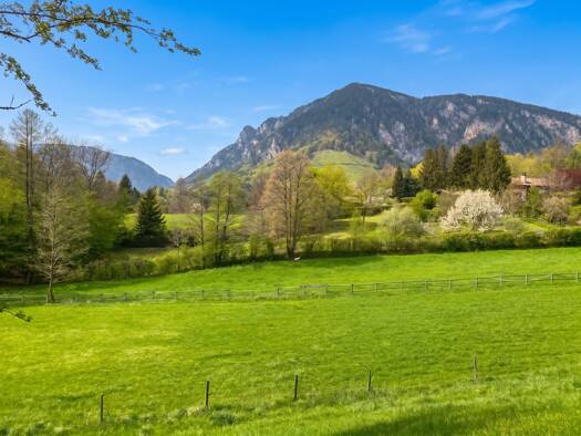 Grundstück zum Kauf 375.000 € 1.845 m² Grundstück Reichenau an der Rax 2651