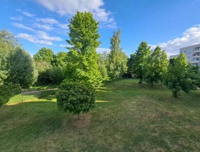Studio zum Kauf 89.000 € 2 Zimmer 60 m² 1. Geschoss Wernigerode Wernigerode 38855