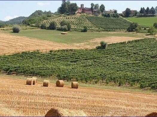 Einfamilienhaus zum Kauf 3.000.000 € 26 Zimmer 1.800 m² 430.000 m² Grundstück Montesegale 15057