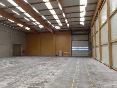Halle/Industriefläche zur Miete 1.235 m² Lagerfläche teilbar von 1.235 m² bis 1.235 m² Bettenhausen Kassel 34123