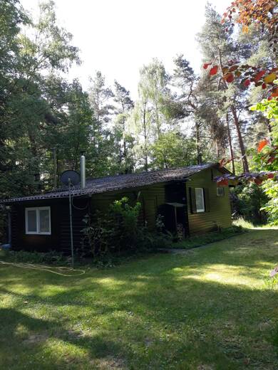 Immobilie zum Kauf 69.500 € 3 Zimmer 60 m² 4.619 m² Grundstück Bargdorf Bienenbüttel 29553