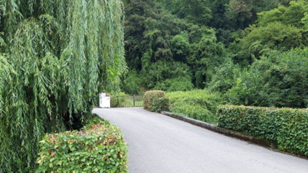 Grundstück zum Kauf 375.000 € 9.600 m² Grundstück Burghausen 84489