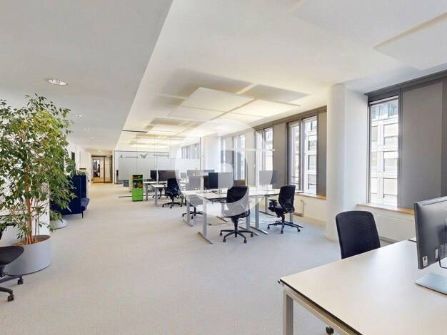 Bürofläche zur Miete provisionsfrei 19,90 € 1.262 m² Bürofläche teilbar ab 522 m² Neustadt Mitte 20354