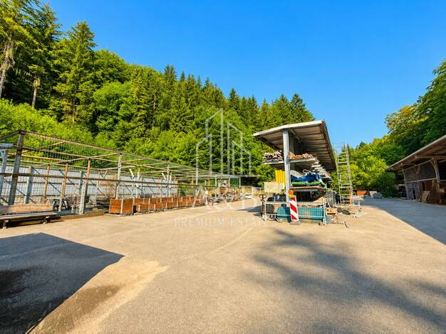 Einfamilienhaus zum Kauf 595.000 € 5,5 Zimmer 90 m² 11.000 m² Grundstück Frankenstein Frankenstein 67468
