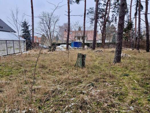 Grundstück zum Kauf 270.000 € 767 m² Grundstück frei ab sofort Phöben Werder (Havel) 14542