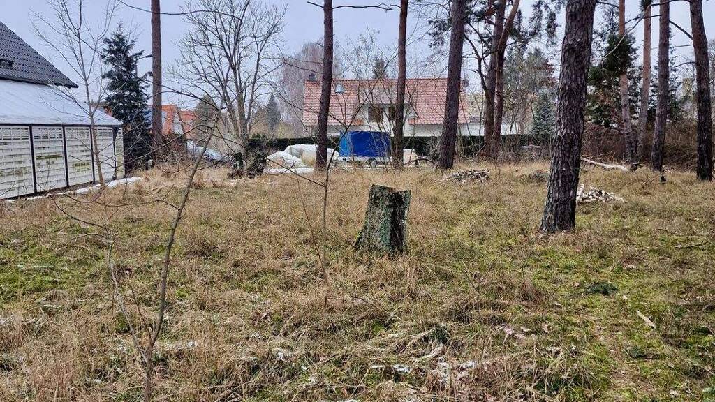 Grundstück zum Kauf 270.000 € 767 m² Grundstück frei ab sofort Phöben Werder (Havel) 14542