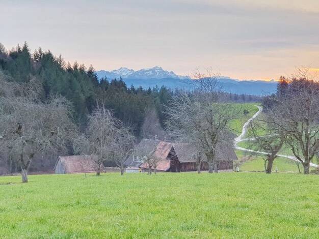 Grundstück zum Kauf 1.148.000 € 60.000 m² Grundstück Neukirch 88099