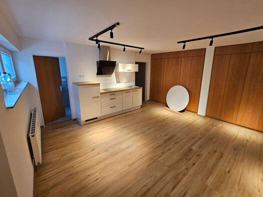 Wohnung zur Miete 650 € 1 Zimmer 54 m² Geschoss -1/2 frei ab sofort Bingen 72511