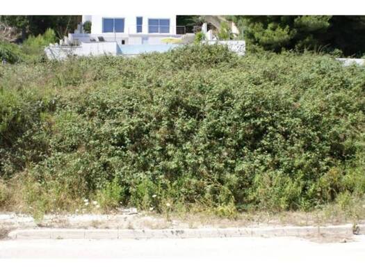 Acker-/Waldstück zum Kauf 466.700 € Son Servera 07550