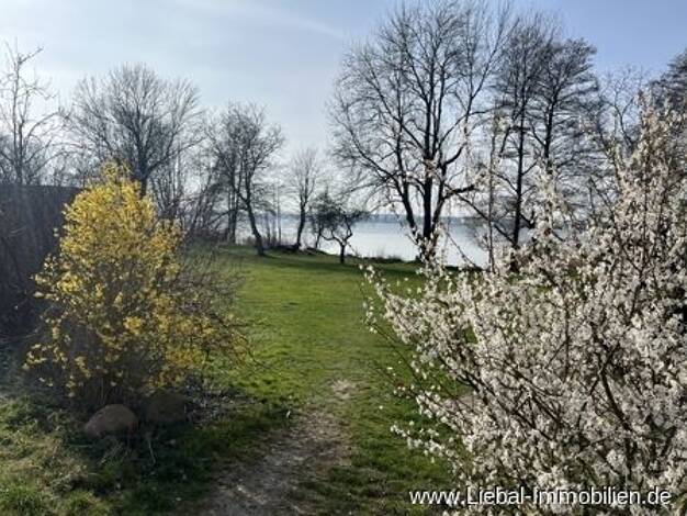 Bungalow zum Kauf 43.000 € 2 Zimmer 30 m² 250 m² Grundstück Klein Nemerow Groß Nemerow 17094