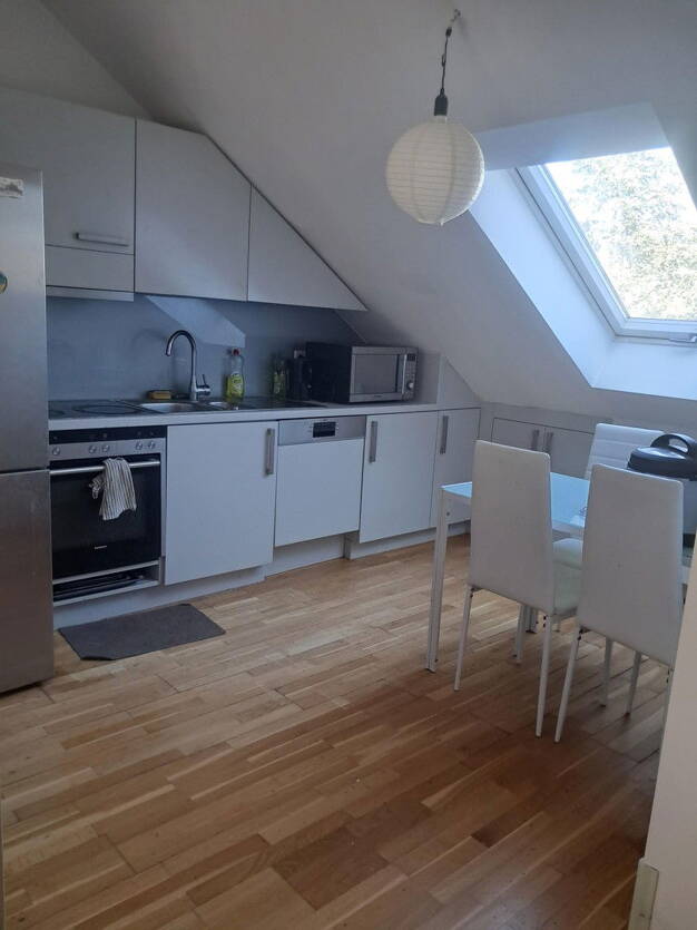 Wohnung zur Miete 850 € 2 Zimmer 47,7 m² Dachgeschoss, 4. Geschoss Heidelberger Straße 38 St. Ludwig mit Eichbergviertel Darmstadt 64285