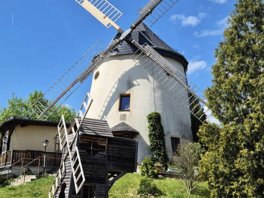 Haus zum Kauf 1.500.000 € 3 Zimmer 8.384 m² Grundstück frei ab 01.01.2026 Steinbacher Straße 56 Briesnitz Dresden 01157