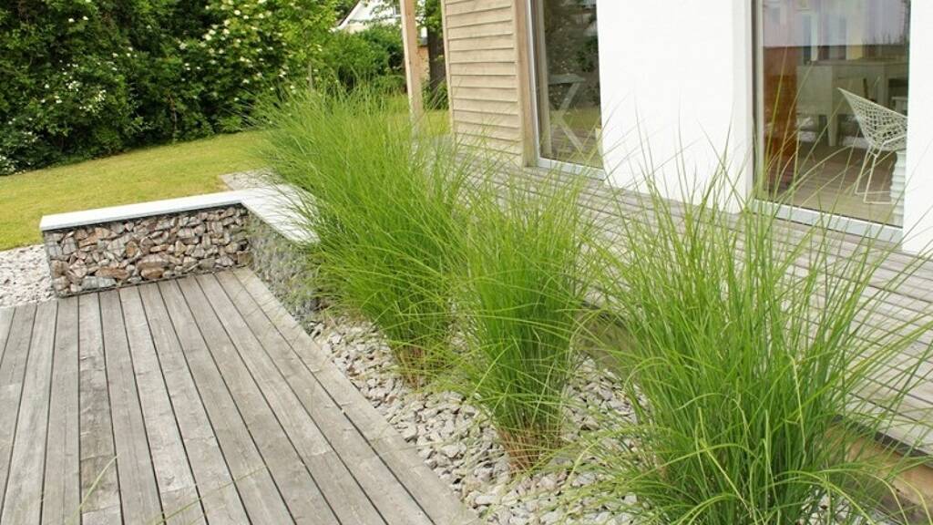 Haus zum Kauf provisionsfrei 217.000 € 96 m² 3.457 m² Grundstück Buscherheide Gangelt 52538