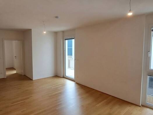 Wohnung zur Miete 739 € 2 Zimmer 52,1 m² 1. Geschoss frei ab sofort Atzlergasse Wien 1230